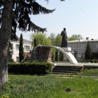 Памятник Шевченку, Городенка