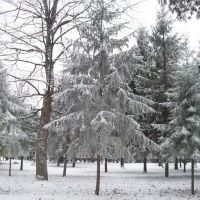 Зимовий парк, Коломыя