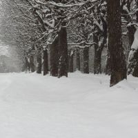 Про снігоочисну техніку не чули :), Коломыя