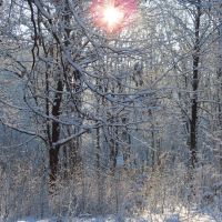 Зимовий ранок/Winter morning, Коломыя