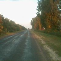 Ukraińska droga przez ukraiński step szeroki, Рогатин