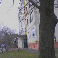 Дома на Ленина, Барышевка