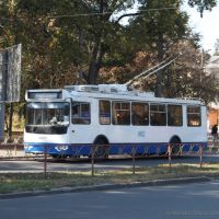 Trolleybus, Белая Церковь