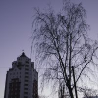 фиолетовый закат, Белая Церковь
