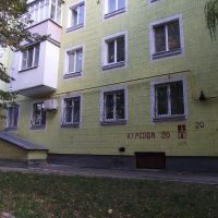 Вікна по вул. Курсова., Белая Церковь