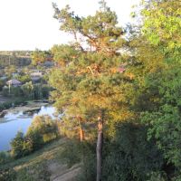 Вид з гори монастиря. Ялинка! :), Богуслав
