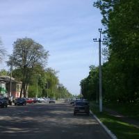 Ukrainska St., Згуровка