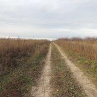 Дорога через поле, Киевская