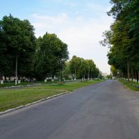 центральна вулиця / the central street, Ставище