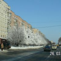 Belogorodskaya. Winter? Spring!, Боярка