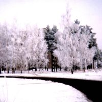 Slavutych46 : paysage dhiver à la sortie de Slavutych en février 1999, Славутич