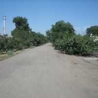 Road, Добровеличковка