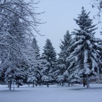 Зима (после снегопада), Малая Виска
