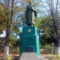 Братська могила на Виноградівці, Новомиргород