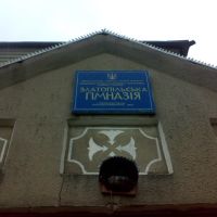 Златопільська гімназія, Новомиргород