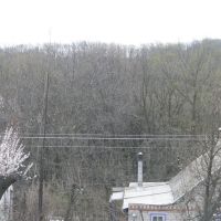Вид на лес с ул. Котовского, Светловодск