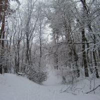 Зима 2013, Светловодск