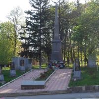 Памятник загиблим воїнам, Ульяновка