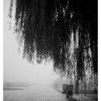 Walk in the mist (film), Керчь