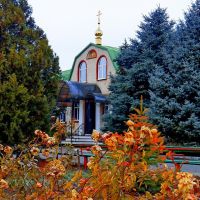 Мирские цветы и церковные купола, Кировское