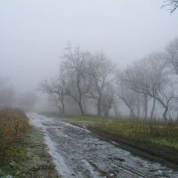 Туманная дорога, Кировское