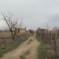 abandoned houses * покинуті садові будиночки, Красноперекопск