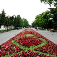 Sevastopol flowers, Севастополь