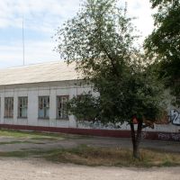 Старая школа, Алексадровск