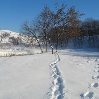 На зимней прогулке, Алчевск