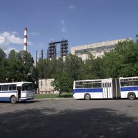 рабочие автобусы на стоянке, Бирюково