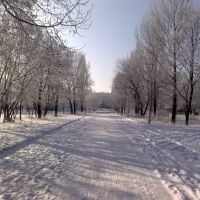 Park in winter (2009), Брянка
