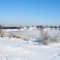 Winter lake (2010), Брянка