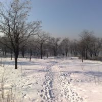 Park on a frosty day (2011), Брянка