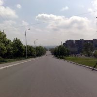 The main road (2010), Брянка