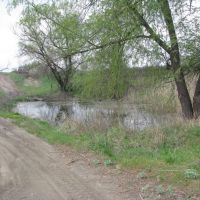 Высохший в прошлые годы пруд снова наполнен водой, Есауловка