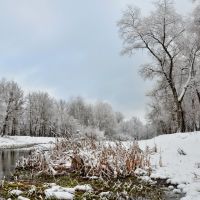 Настоящий первый снег 2012 года, Кременная