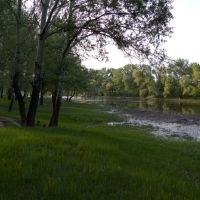 river, Лисичанск