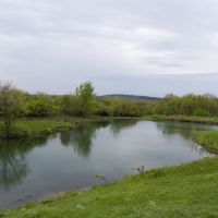 Pond, Лисичанск