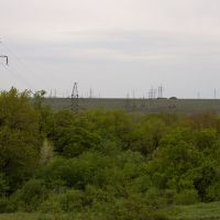 Power line & trees, Лисичанск