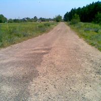 дорога в грибной лес (справа), Новоайдар