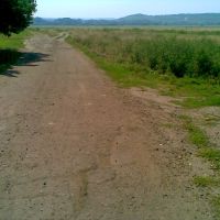 дорога к столикам и одинокому дереву, Новоайдар