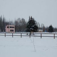 Конный клуб, Новоайдар