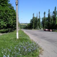 Outskirts of Pervomaisk, Первомайск