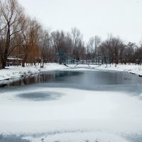 пруд в бывшем зоопарке, Станично-Луганское