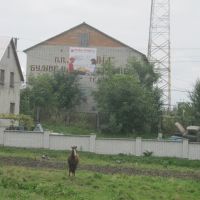 "Нова Пошта", Мостиска