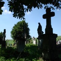 Polski cmentarz w Przemyślanach, Перемышляны