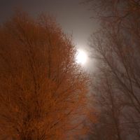 Зимовий вечір в Пустомитах - Moonlight over Pustomyty, Пустомыты