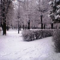 Міський парк. Зима, Рава Русская
