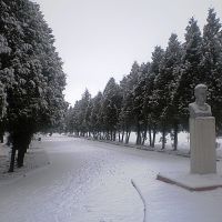 Памятник Лесі Українці взимку, Рава Русская