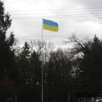 Прапор буля Будинку Культури, Радехов